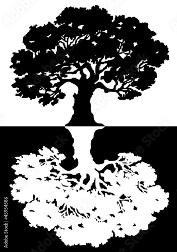 Vector: Two black and white trees. Vector Two black and white trees. Vector
