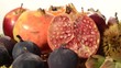 fall fruits