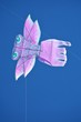 Kite flying