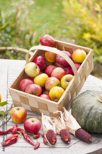 Photo: Erntezeit im Obst- und Gemüsegarten Erntezeit im Obst- und Gemüsegarten