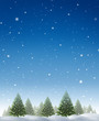 Winter Holiday Background