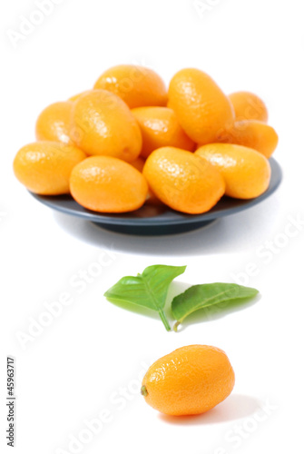 Photo: kumquat kumquat