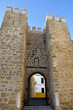 Rose arch or Seville gate, Marchena, Seville (Spain)