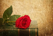 Rose on book in vintage style