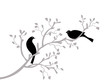 oiseaux noirs sur branche grise