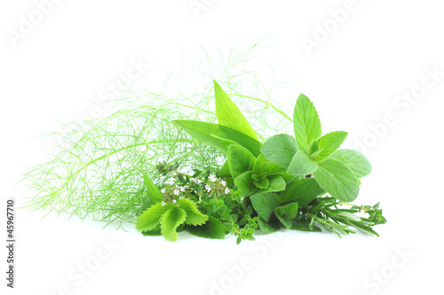 Photo: Fresh herbs Fresh herbs