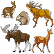 set of forest animals