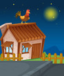 house and hen