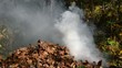 Video: Autumn in the garden of burning leaves Autumn in the garden of burning leaves