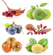 Collection of berry and fruit isolated on white background