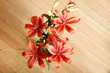 Foto: Lilium Lilium
