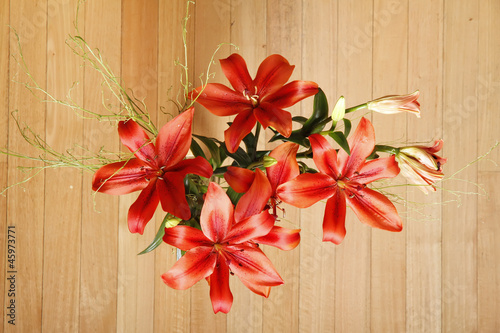 Photo: Lilium Lilium