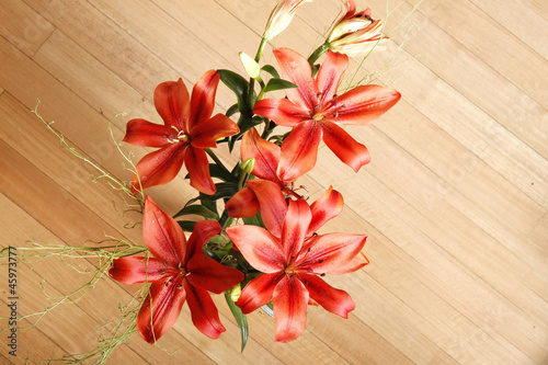 Photo: Lilium Lilium