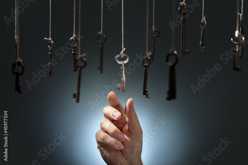 Photo: Choosing the right one Choosing the right one