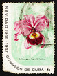 Postage stamp Cuba 1899 Cattleya Warscewiczii Reginae Burfordens