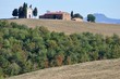 Tuscany, Vitaletta