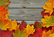 Bunte Herbstblätter auf Holz