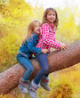 children friends girls climbing to a pine tree trunk