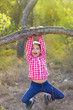 children girl swinging in a trunk in pine forest