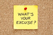 What is Your Excuse