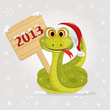 snake symbol of 2013 year