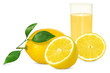 Obst 552