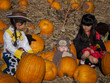 Pumpkin Partch