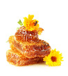 sweet honeycomb with honey, bee and flowers, isolated on white