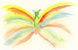 Rainbow butterfly