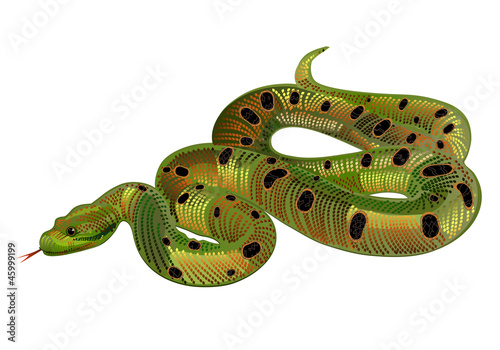 Vector: Beautiful green snake realistic Beautiful green snake realistic