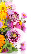 beautiful bouquet of bright flowers isolated on white