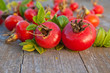 rose hip