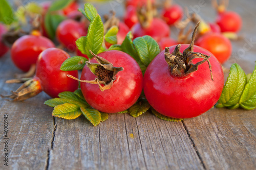 Photo: rose hip rose hip