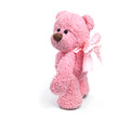 Teddy bear in classic vintage style isolated on white background