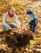 woman with  son planting  tree in autumn