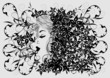 Woman's profile on floral background
