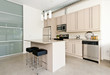 Modern condo kitchen