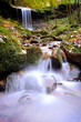 Wildbach