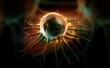 cancer cell