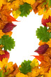 Herbstblätter Rand
