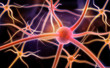 neuron