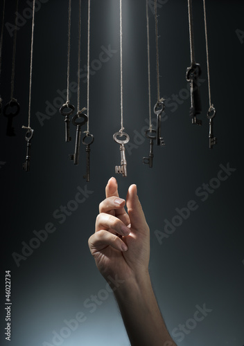 Photo: Choosing the Right One Choosing the Right One