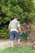 jardinier en pleine action  # 32