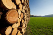 Holzmeiler