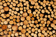 Holzmeiler