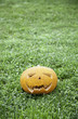 Halloween Pumpkin