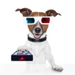 remote control 3d glasses tv movie dog