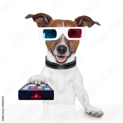 Photo: remote control 3d glasses tv movie dog remote control 3d glasses tv movie dog