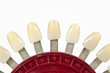 dental color samples