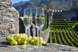 Pair of champagne glasses and grapes. Bellinzona, Switzerland